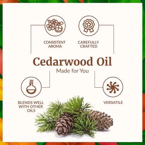 SVA Organics Cedarwood Essential Oil - 4 Fl Oz (118 mL) - Pure & Natural Aromatherapy Oil thumbnail 3
