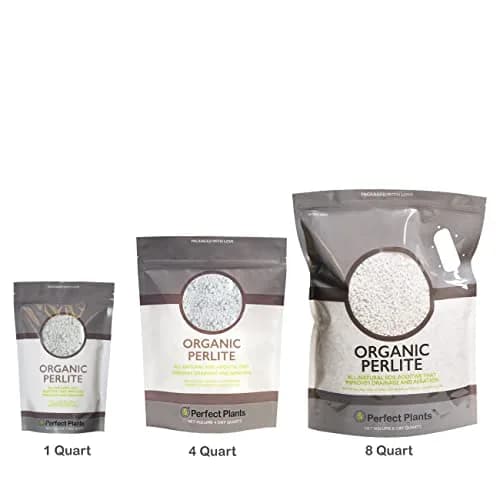 Perfect Plants Organic Perlite 1 qt | Improves Soil Drainage & Aeration for Container Plants thumbnail 6