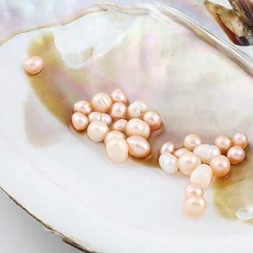 POSHOPS Freshwater Cultured Big Oysters with Pearls Inside | Natural Shape & Size for Crafting thumbnail 6