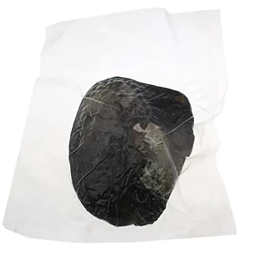 POSHOPS Freshwater Cultured Big Oysters with Pearls Inside | Natural Shape & Size for Crafting thumbnail 3