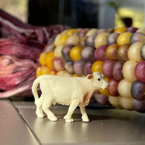 Safari Ltd. Good Luck Minis Ranch Fun Pack - 8 Animal Figurines Toy Set | Small-Scale Farm Animal Figures for Kids 5+ thumbnail 6
