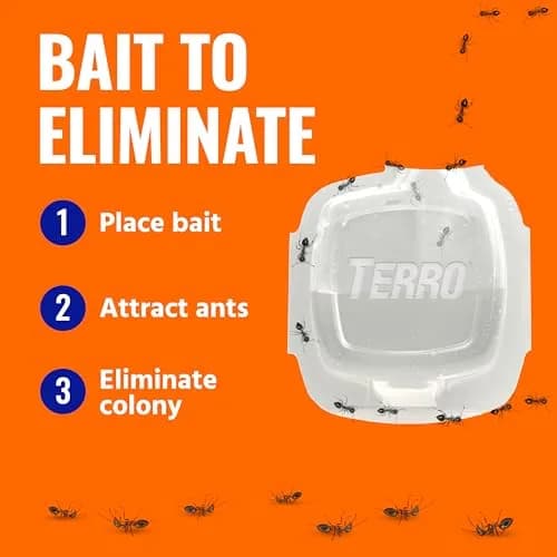Terro Indoor Liquid Ant Baits 20 Bait Stations | Discreet Baiting for Household Ants thumbnail 6