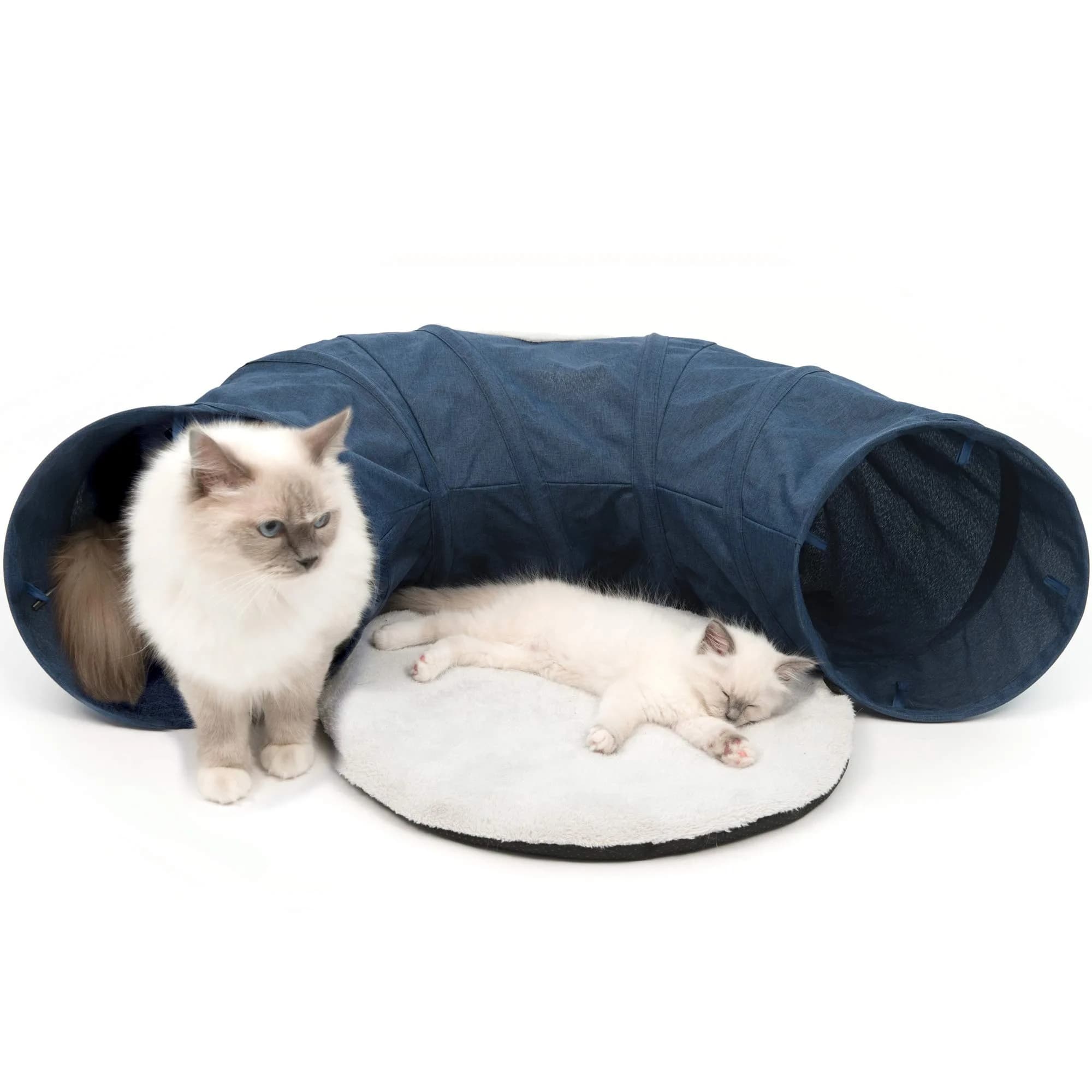 Catit Vesper Cat Tunnel, Cat Toy, Blue, 41995 | Collapsible, Washable & Snag-Resistant