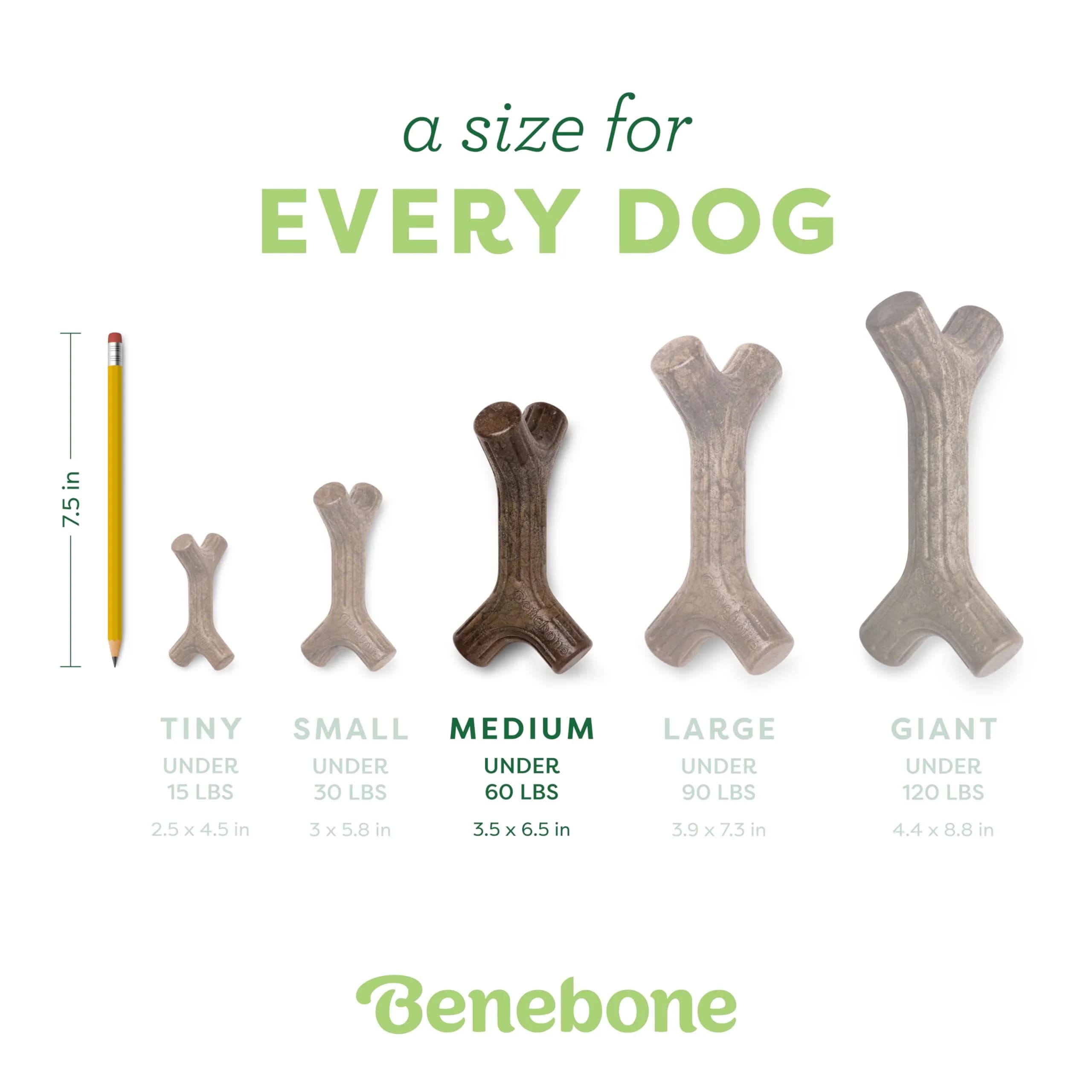 Benebone Maplestick Real Maple Wood Chew Toy for Dogs - Medium - view 4
