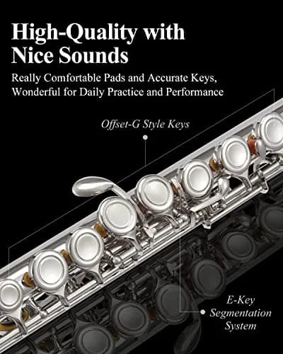 Eastar Closed Hole 16 Keys Flute for Beginner Kids Student with Cleaning Kit, Stand, Case, Gloves, Tuning Rod, Nickel, EFL-1 thumbnail 4