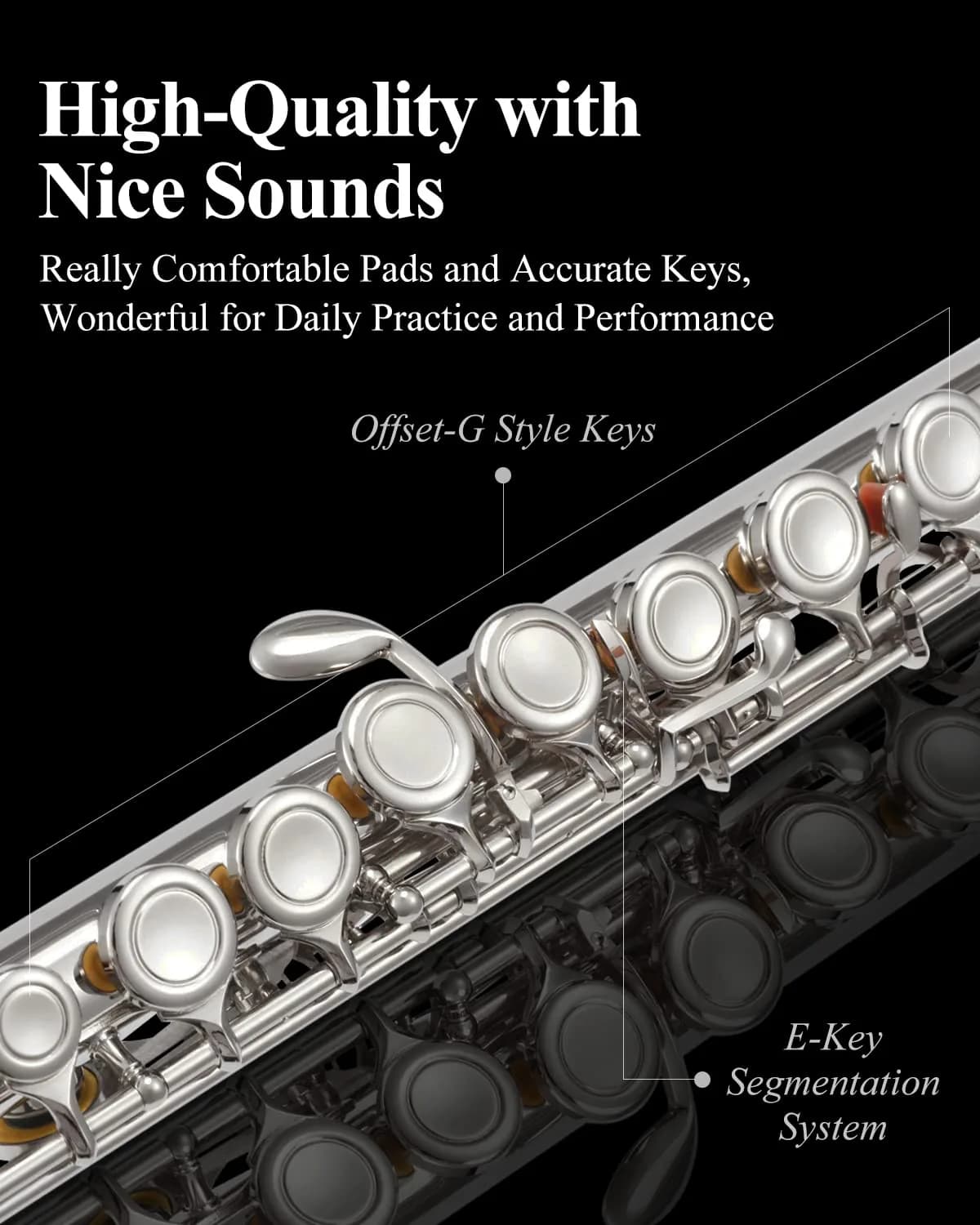 Eastar Closed Hole 16 Keys Flute for Beginner Kids Student with Cleaning Kit, Stand, Case, Gloves, Tuning Rod, Nickel, EFL-1 - view 4