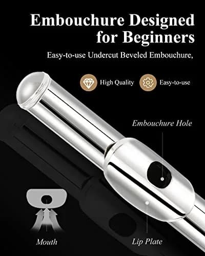 Eastar Closed Hole 16 Keys Flute for Beginner Kids Student with Cleaning Kit, Stand, Case, Gloves, Tuning Rod, Nickel, EFL-1 thumbnail 2