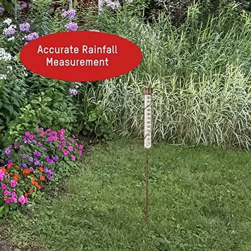 Taylor Heritage Collection Glass Rain Gauge, 42.3cm (27 inch) Tall, 12.7cm (5 inch) Capacity | Measure Rainfall Accurately thumbnail 6