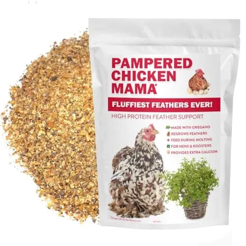 Pampered Chicken Mama Molting Supplement for Chickens 2 pounds | Supports Feather Growth & Chicken Health thumbnail 1