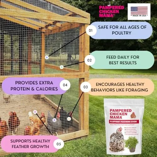 Pampered Chicken Mama Molting Supplement for Chickens 2 pounds | Supports Feather Growth & Chicken Health thumbnail 6