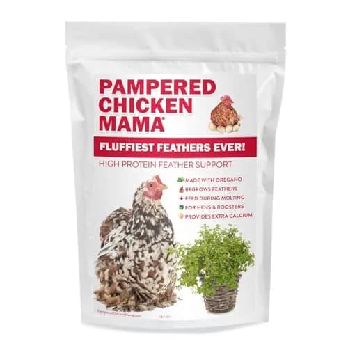 Pampered Chicken Mama Molting Supplement for Chickens 2 pounds | Supports Feather Growth & Chicken Health thumbnail 3