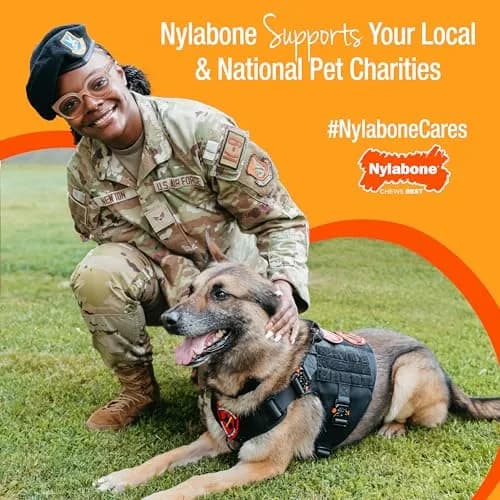 Nylabone Power Chew Easy-Hold Wishbone Dog Chew Toy, Small (3.85 oz / 109 g) | Durable Chew Toy for Aggressive Chewers thumbnail 9