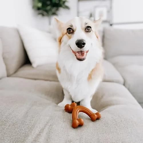 Nylabone Power Chew Easy-Hold Wishbone Dog Chew Toy, Small (3.85 oz / 109 g) | Durable Chew Toy for Aggressive Chewers thumbnail 2