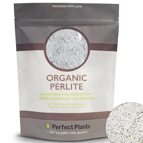 Perfect Plants Organic Perlite, 4 qt | Improves Soil Drainage & Aeration for Indoor & Outdoor Plants thumbnail 1