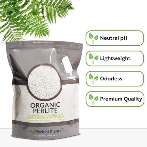 Perfect Plants Organic Perlite, 4 qt | Improves Soil Drainage & Aeration for Indoor & Outdoor Plants thumbnail 4