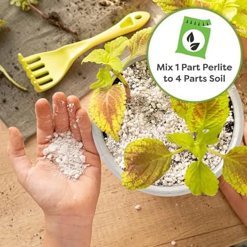 Perfect Plants Organic Perlite, 4 qt | Improves Soil Drainage & Aeration for Indoor & Outdoor Plants thumbnail 5