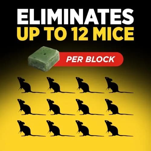d-Con Refillable Mouse Bait Station 1 + 18 Refills | Compact Weatherproof Indoor/Outdoor Pest Control thumbnail 8