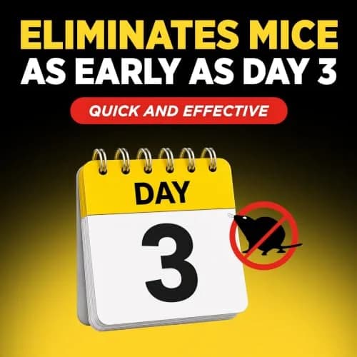 d-Con Refillable Mouse Bait Station 1 + 18 Refills | Compact Weatherproof Indoor/Outdoor Pest Control thumbnail 3