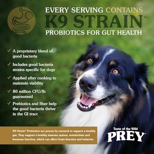 Taste of the Wild Prey Trout Puppy, Adult & Senior Dry Dog Food 25lb | Limited Ingredient, Real Trout First thumbnail 5
