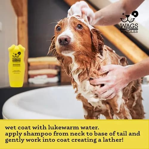 Wags & Wiggles Soothe Oatmeal Dog Shampoo, 16 Oz | Gentle, pH-Balanced for Sensitive Skin thumbnail 4