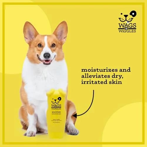 Wags & Wiggles Soothe Oatmeal Dog Shampoo, 16 Oz | Gentle, pH-Balanced for Sensitive Skin thumbnail 3