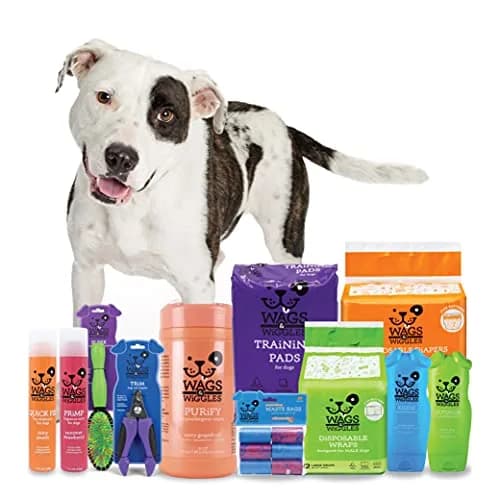 Wags & Wiggles Freshen Deodorizing Dog Shampoo Very Berry 473ml (16 Fl Oz) | pH-Balanced Formula for All Breeds thumbnail 3
