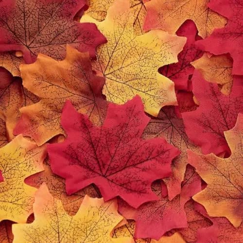 EchoDone Artificial Maple Leaves Decorations 600 pcs | Autumn Fall Leaves for Wedding & Thanksgiving thumbnail 1