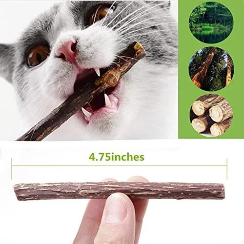 Ueerdand Organic Catnip Chew Sticks 10 pcs | Silvervine & Plant-Based Teeth Cleaner for Cats thumbnail 2