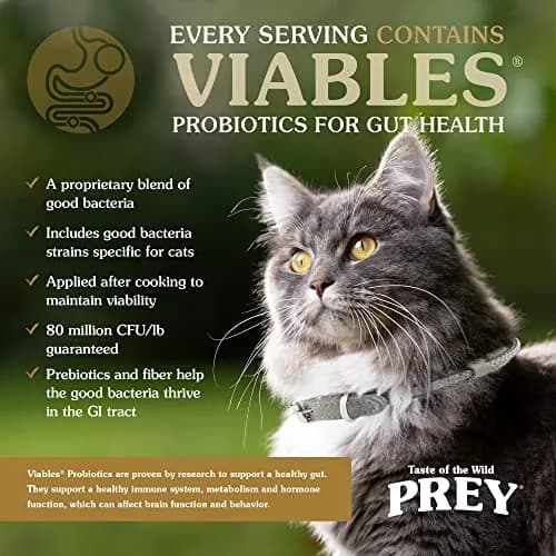 Taste of the Wild PREY Angus Beef Kitten, Adult & Senior Dry Cat Food 6lb | Limited Ingredient, Probiotics & Omega Support thumbnail 5