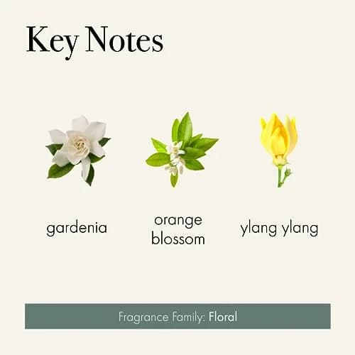 LAFCO NEW YORK 3-Wick Candle, Fresh Cut Gardenia - 30 oz | Long-Lasting Floral Scent, Reusable Glass Vessel thumbnail 3