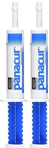 SCHERING/INTERVET D PANACUR Dewormer Horse Paste 10% | Horse Dewormer with Apple Cinnamon Flavor (100mg) | 2-Pack thumbnail 1