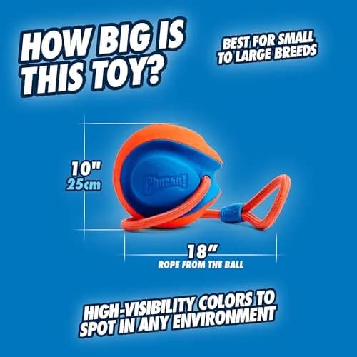 Chuckit! Rope Fetch Dog Toy 14 cm (5.5-in) Ball on Rope | Durable EVA Rubber thumbnail 4
