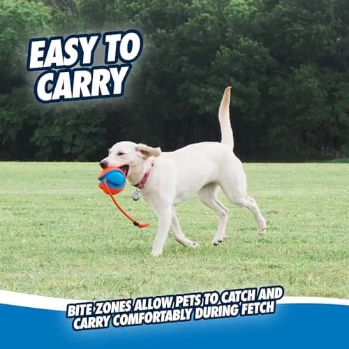 Chuckit! Rope Fetch Dog Toy 14 cm (5.5-in) Ball on Rope | Durable EVA Rubber thumbnail 6