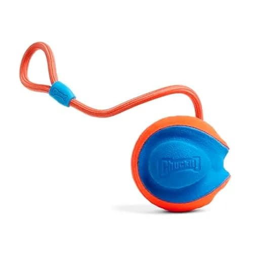 Chuckit! Rope Fetch Dog Toy 14 cm (5.5-in) Ball on Rope | Durable EVA Rubber thumbnail 1