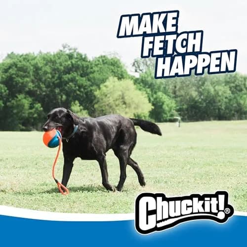 Chuckit! Rope Fetch Dog Toy 14 cm (5.5-in) Ball on Rope | Durable EVA Rubber thumbnail 8