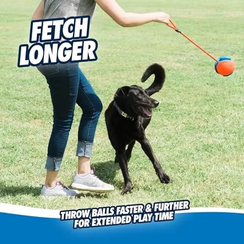 Chuckit! Rope Fetch Dog Toy 14 cm (5.5-in) Ball on Rope | Durable EVA Rubber thumbnail 3