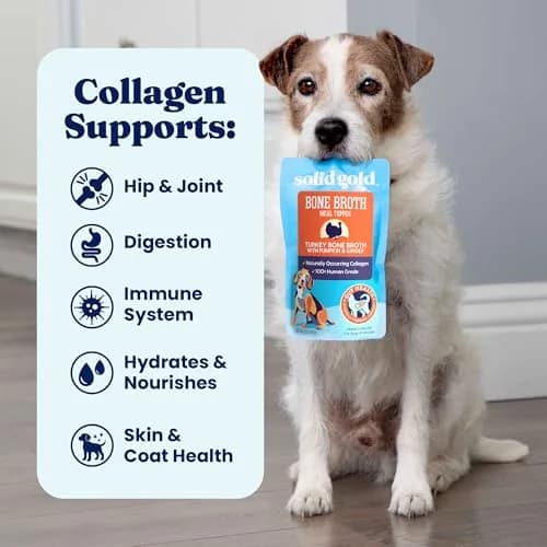 Solid Gold Turkey Bone Broth Dog Food Topper for Picky Eaters, 12ct Pouches | Nutrient-Rich, Collagen & Wellness Support thumbnail 7