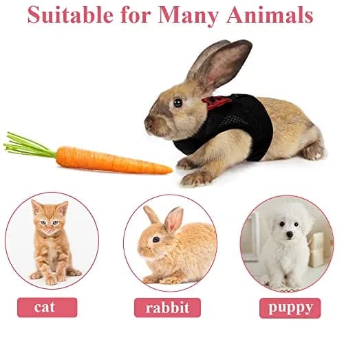 ASOCEA Adjustable Bunny Harness and Leash Breathable Mesh Vest for Small Animals (30-34cm Neck, 26-30cm Chest) | Soft Pet Harness Vest for Rabbits & Ferrets thumbnail 4