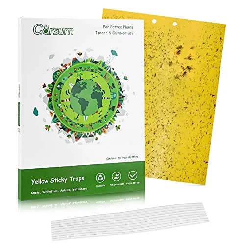 Garsum Yellow Sticky Traps 20 Pack 6x8 in | Natural Pest Control for Flying Insects thumbnail 1