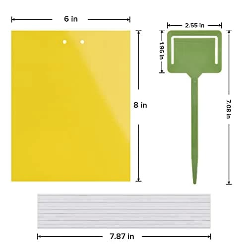 Garsum Yellow Sticky Traps 20 Pack 6x8 in | Natural Pest Control for Flying Insects thumbnail 3