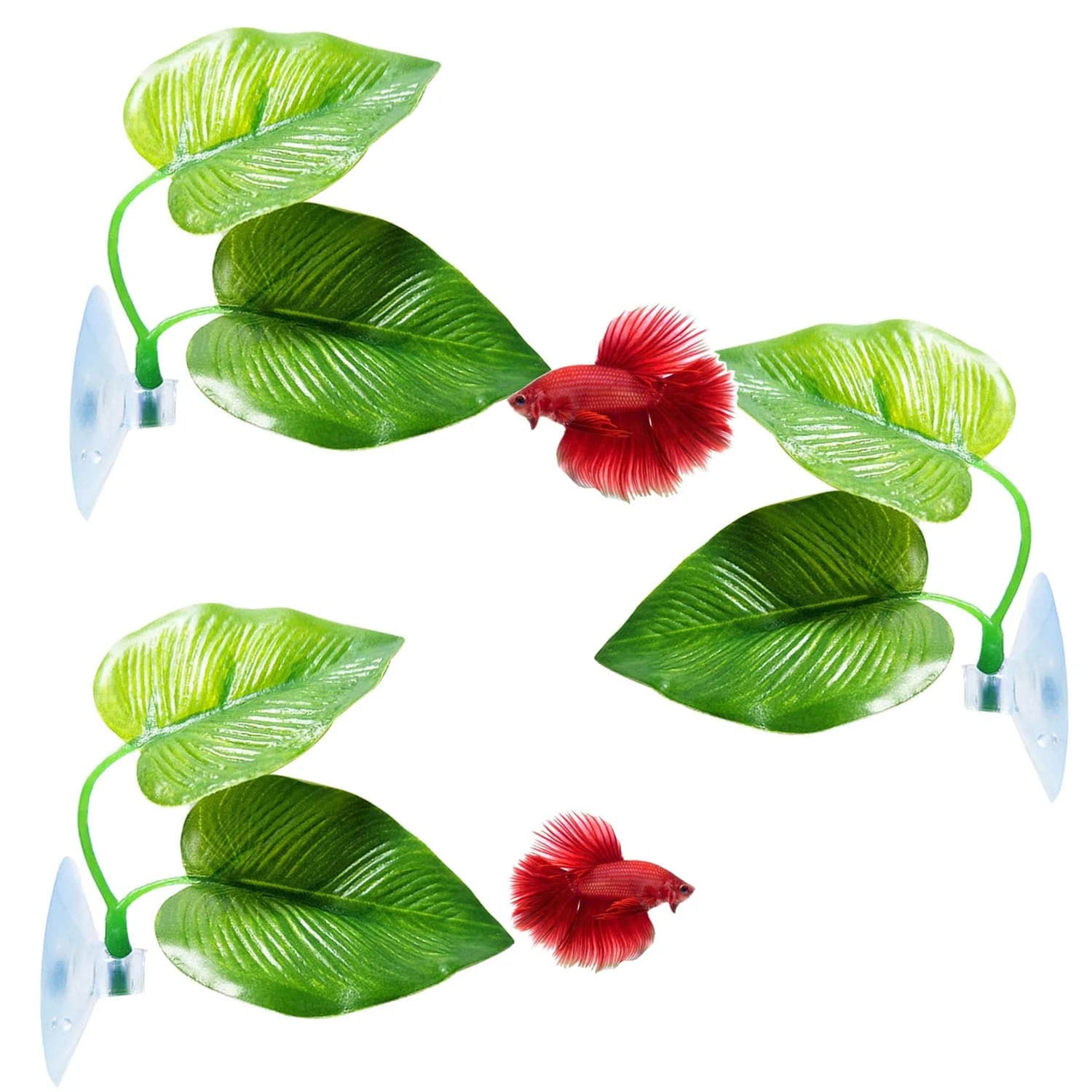 CousDUoBe 3 Pack Betta Fish Leaf Pad Hammock | Simulates Natural Habitat for Betta Health - main product image