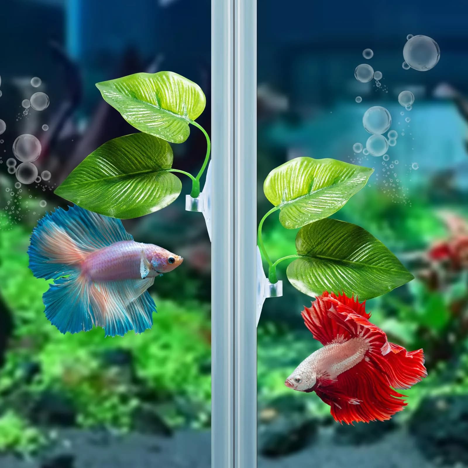 CousDUoBe 3 Pack Betta Fish Leaf Pad Hammock | Simulates Natural Habitat for Betta Health - view 5