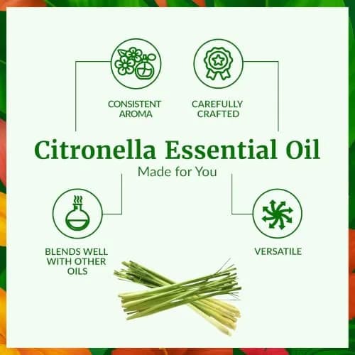 SVA ORGANICS Citronella Essential Oil 4 Fl Oz (118 mL) - Pure & Natural for Aromatherapy and Insect Repellent thumbnail 3
