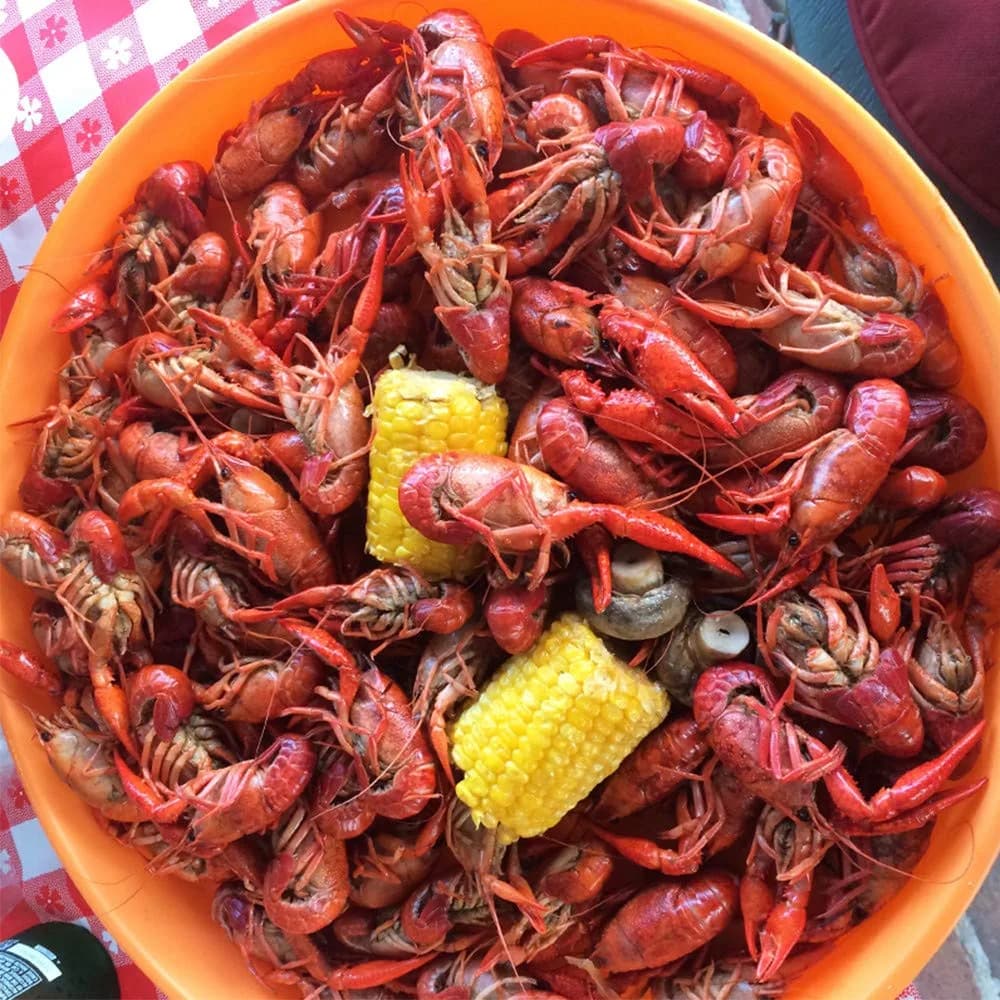 Zatarain's Crawfish, Shrimp & Crab Boil Seasoning 2.04 kg (4.5 lb) | Authentic New Orleans Flavor - view 4