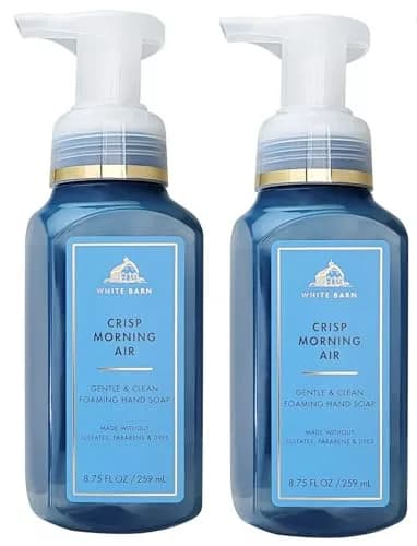 Bath & Body Works 2 Pack Crisp Morning Air Gentle Foaming Hand Soap 8.75 Oz | Refreshing Pine & Pear Scent for Sensitive Skin — Crisp Morning Air (Bottle Artwork/Color May Vary)