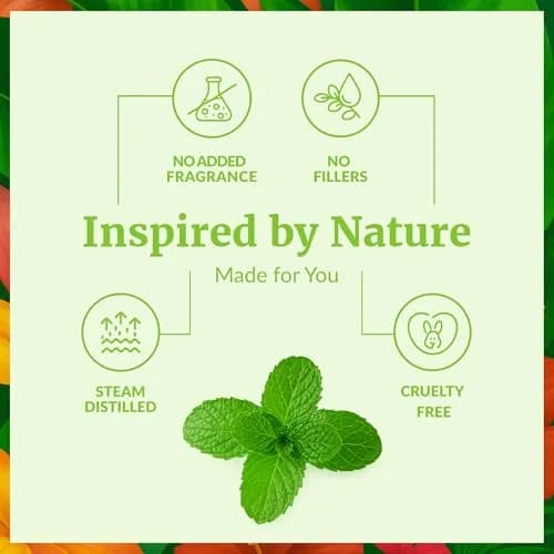 SVA ORGANICS Organic Peppermint Essential Oil, 4 Fl Oz (118 mL) - Pure & Natural thumbnail 3
