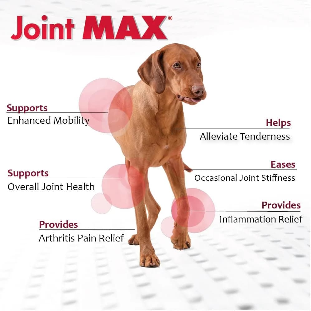 Joint Max TS Granules for Dogs 120 Doses | Supports Joint & Cartilage Health thumbnail 3