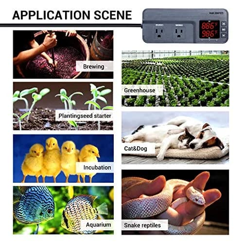 Inkbird Temperature and Humidity Controller ITC-608T | Dual Stage Thermostat for Grow Tents & Greenhouses thumbnail 6