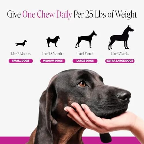 Pet Honesty Vet Recommended 10-in-1 Dog Multivitamin, 90 Ct, Chicken | Complete Dog Nutrition & Joint Support thumbnail 6
