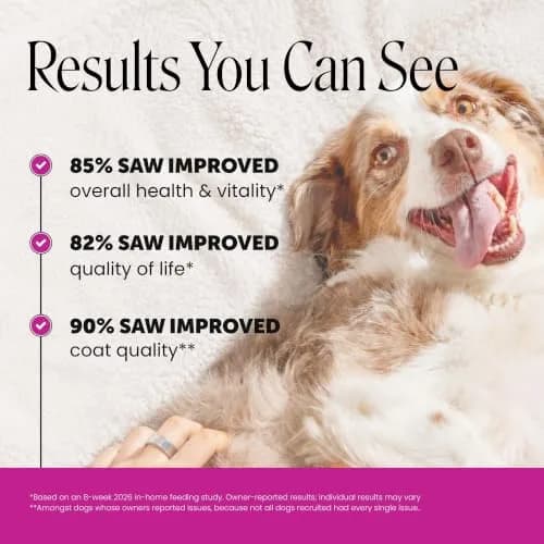 Pet Honesty Vet Recommended 10-in-1 Dog Multivitamin, 90 Ct, Chicken | Complete Dog Nutrition & Joint Support thumbnail 2
